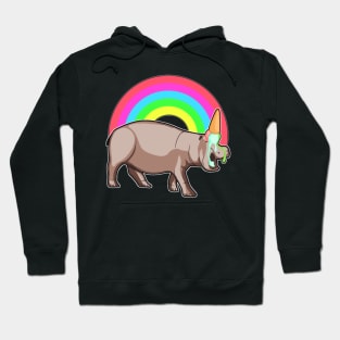 Hippo Unicorn Rhino ice rainbow gift- Hoodie